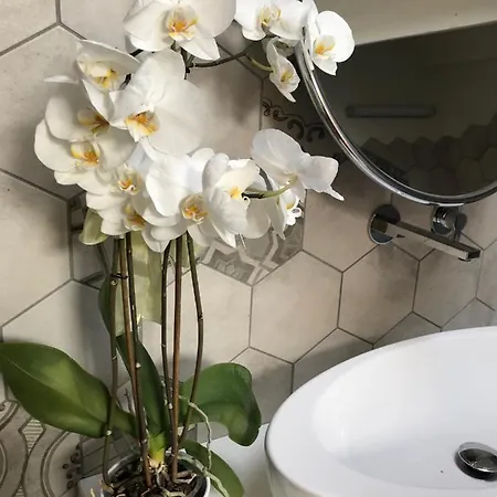 B&B Maison Petit Perlage And Champagne