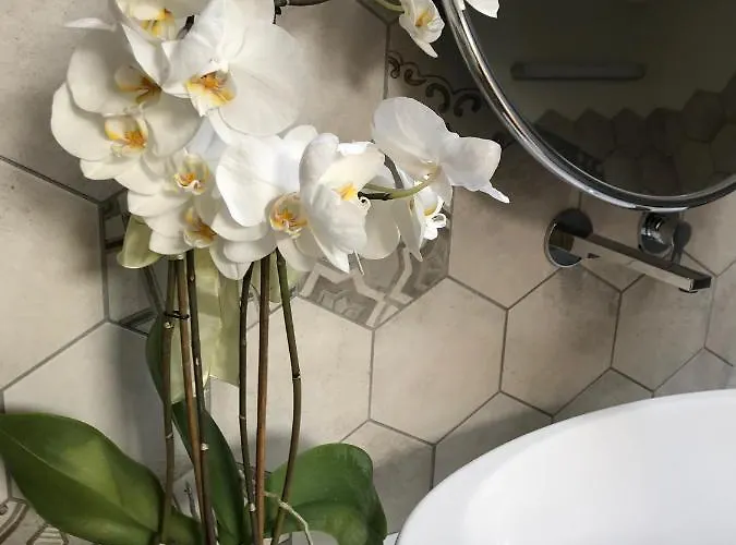 住宿加早餐酒店 Maison Petit Perlage And Champagne