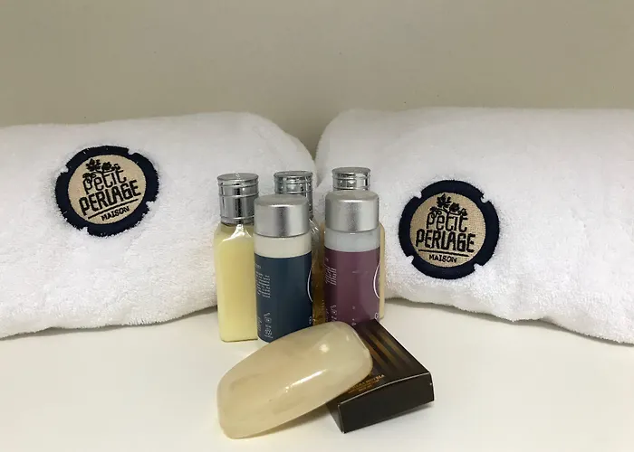 住宿加早餐酒店 Maison Petit Perlage And Champagne 3*